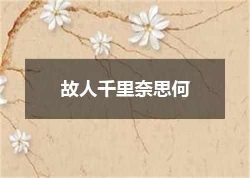 故人千里奈思何