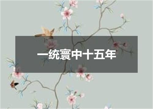 一统寰中十五年