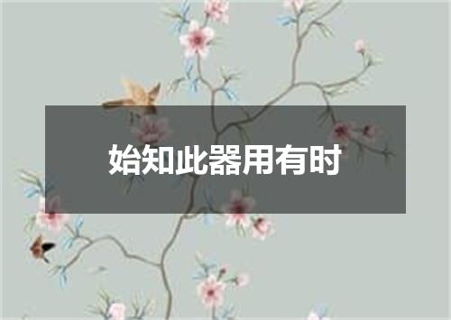 始知此器用有时