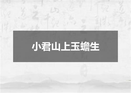 小君山上玉蟾生