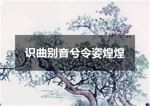 识曲别音兮令姿煌煌