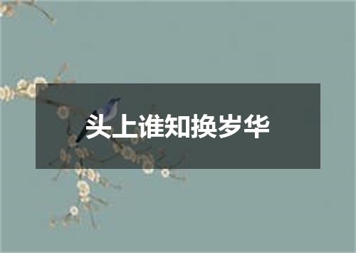 头上谁知换岁华