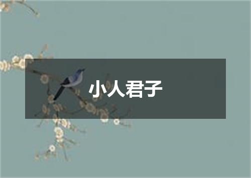 小人君子