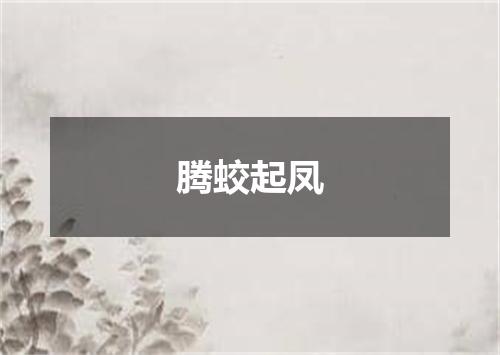 腾蛟起凤
