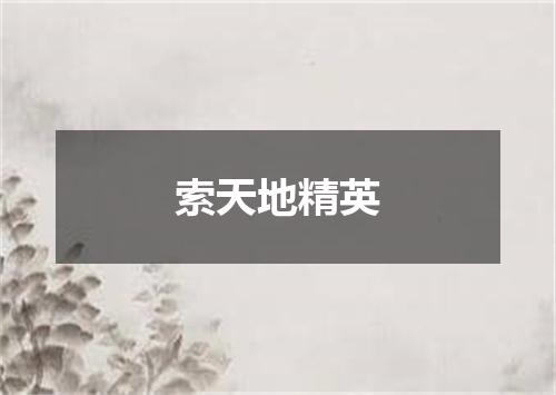 索天地精英