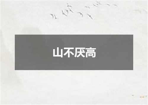 山不厌高