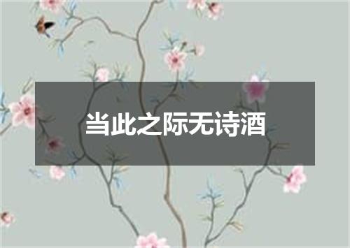 当此之际无诗酒