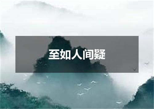 至如人间疑