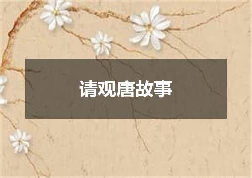 请观唐故事