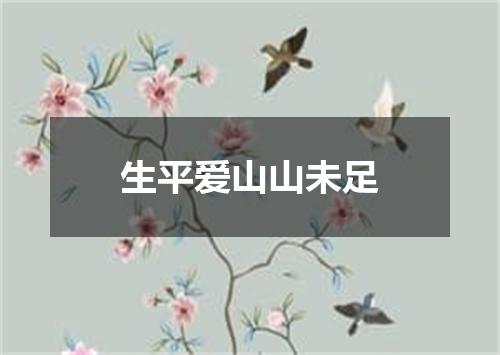 生平爱山山未足
