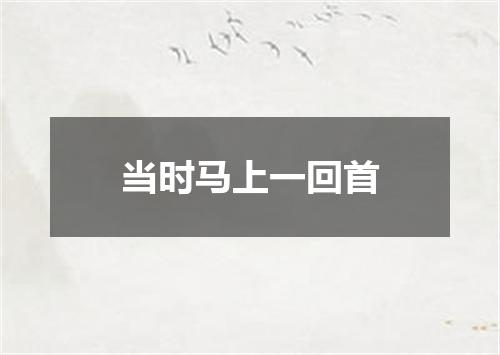 当时马上一回首
