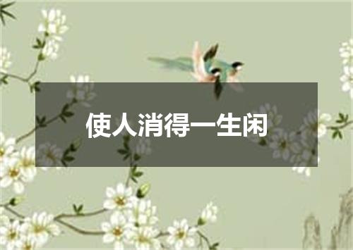 使人消得一生闲