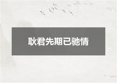 耿君先期已驰情