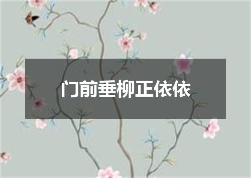 门前垂柳正依依