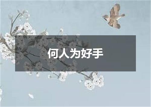 何人为好手