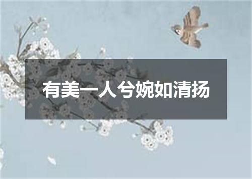有美一人兮婉如清扬