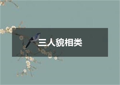 三人貌相类