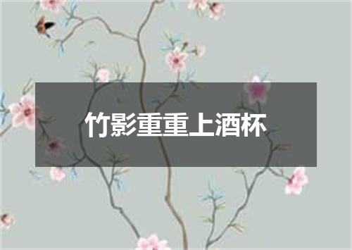 竹影重重上酒杯