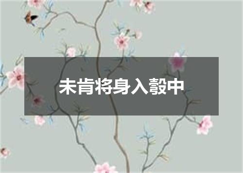未肯将身入彀中
