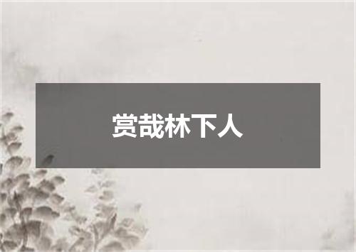 赏哉林下人