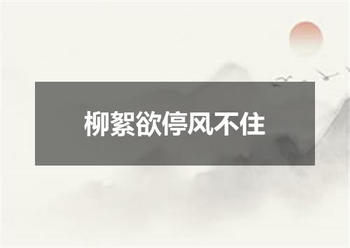 柳絮欲停风不住