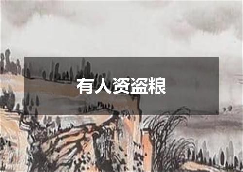 有人资盗粮