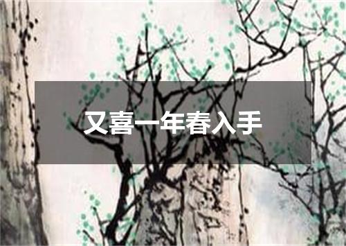 又喜一年春入手