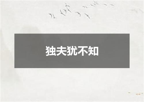 独夫犹不知