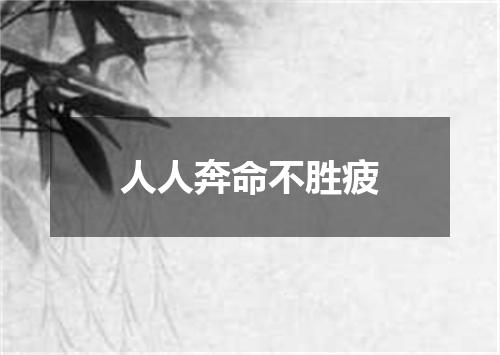 人人奔命不胜疲