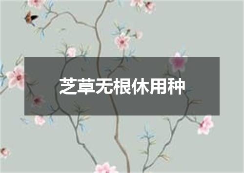 芝草无根休用种