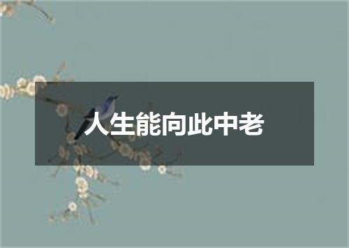 人生能向此中老