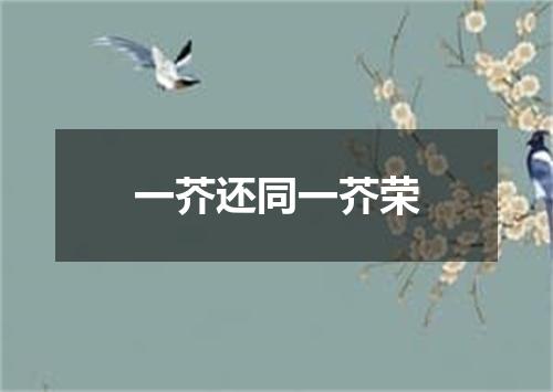 一芥还同一芥荣