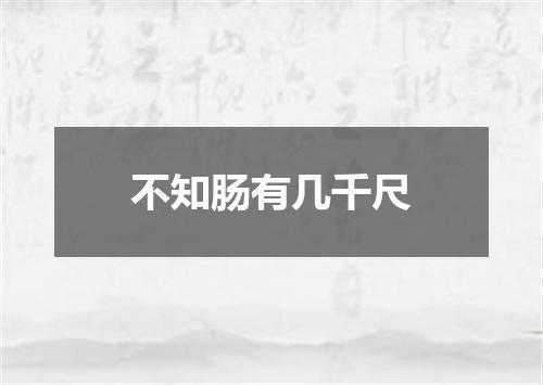 不知肠有几千尺