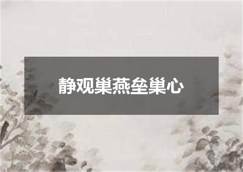 静观巢燕垒巢心