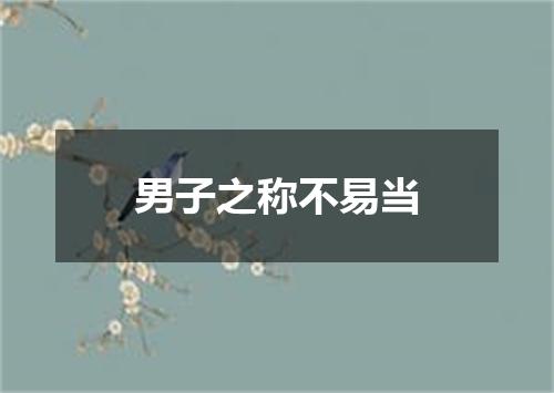 男子之称不易当