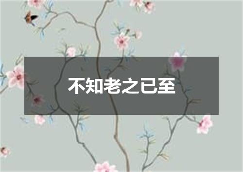 不知老之已至