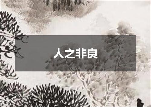 人之非良