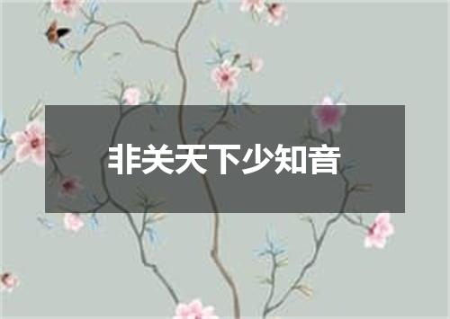 非关天下少知音