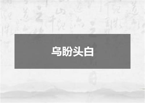 乌盼头白
