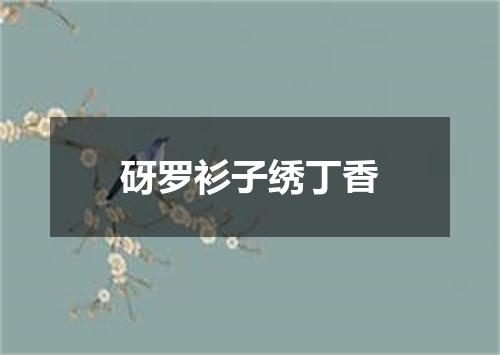 砑罗衫子绣丁香