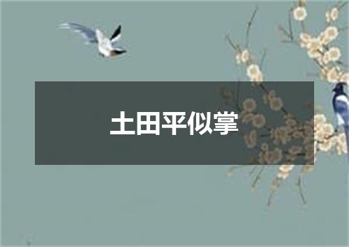 土田平似掌