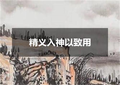 精义入神以致用