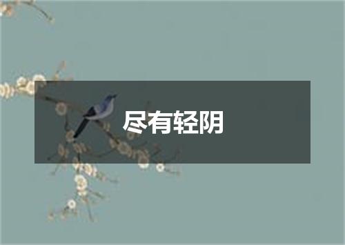 尽有轻阴