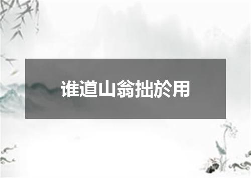 谁道山翁拙於用