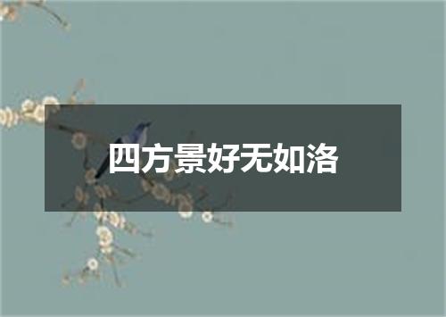 四方景好无如洛