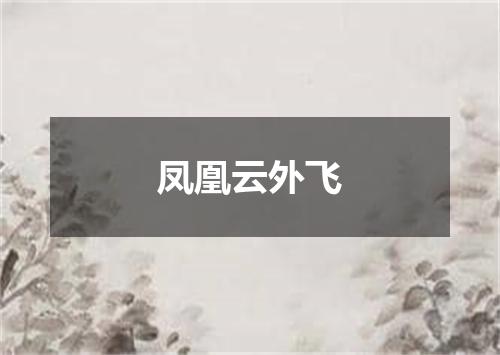 凤凰云外飞