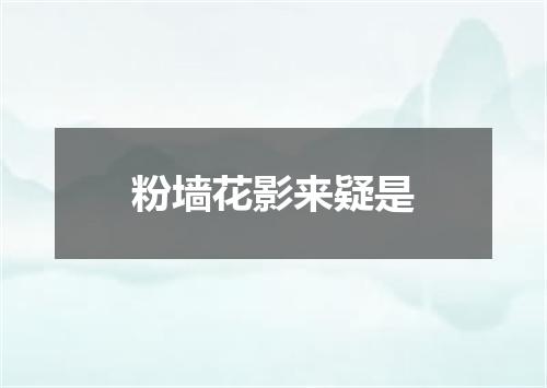 粉墙花影来疑是