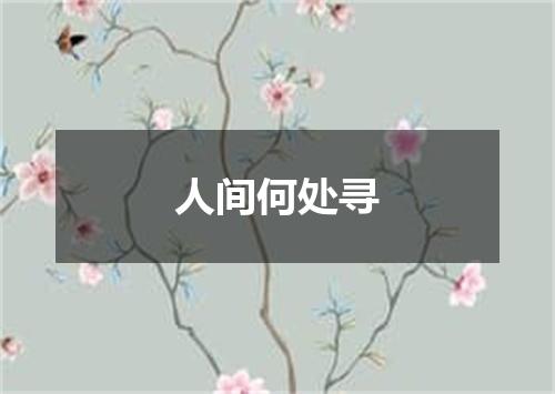人间何处寻