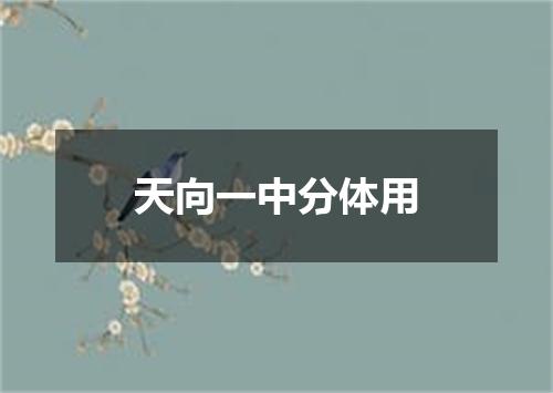 天向一中分体用