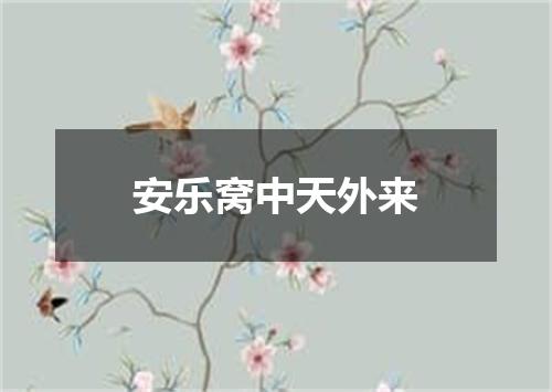 安乐窝中天外来